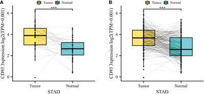 Multi-omics profiling and digital image analysis reveal the potential prognostic and immunotherapeutic properties of CD93 in stomach adenocarcinoma